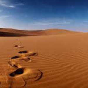 Desert