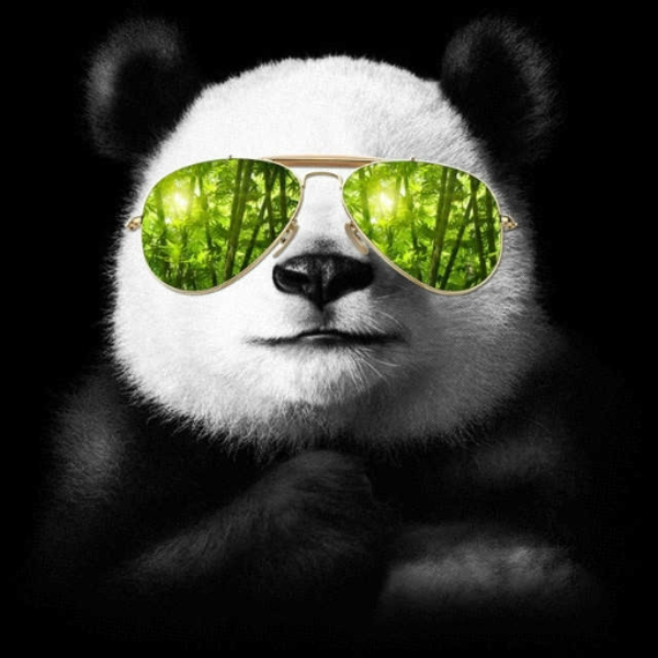 Desiigner - Panda