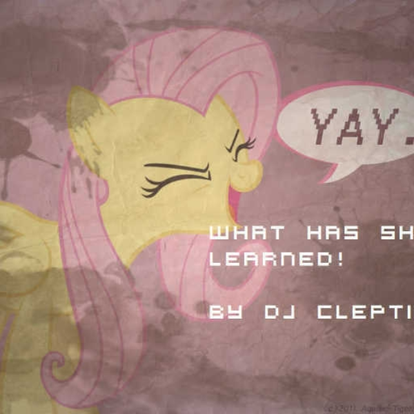 Dfdasererdrd - What Has She Learned (DrPeetree Remix)