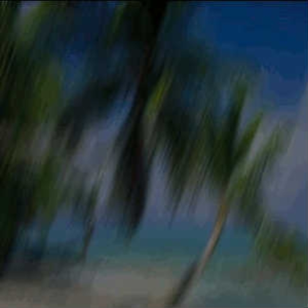 Distorted SeaView