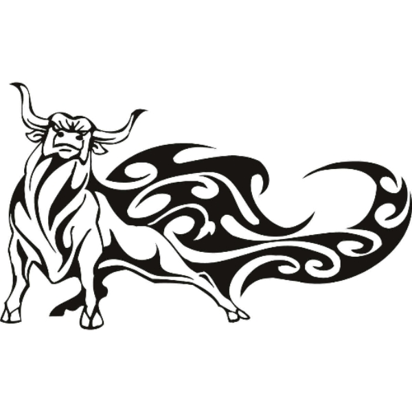 DJTORO TRIBAL HOUSE MUSIC