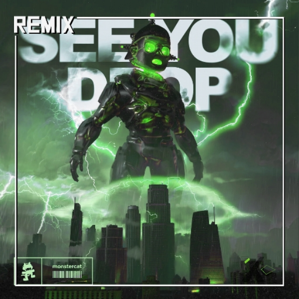 Ray Vople - SEE YOU DROP (remix)