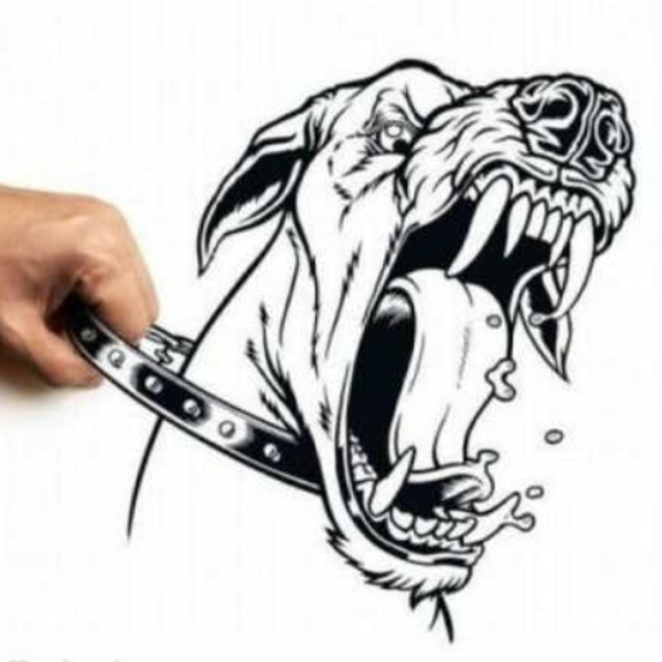 Dog Shit