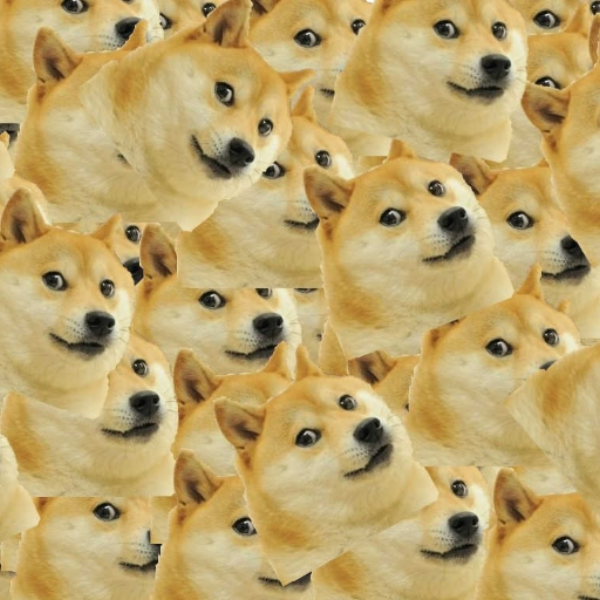 doge