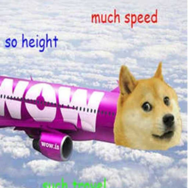 Doggy Airlines