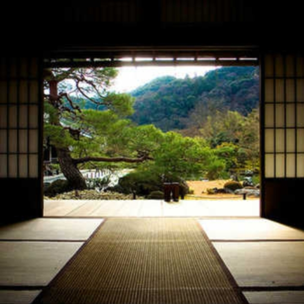 DOJO: