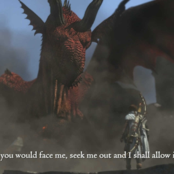 Dragons Dogma (into free)