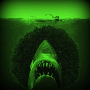drumnbass shark