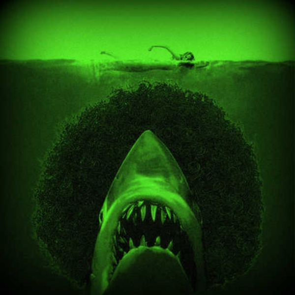 drumnbass shark