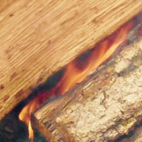 FiRe (Feat. Mtreethegreat)