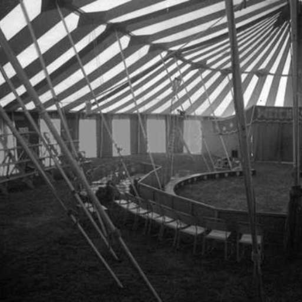 dubcircus