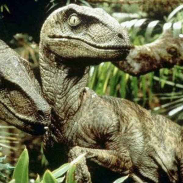 !Dubssaur! x JG ElektrikBass - Velocitraptor