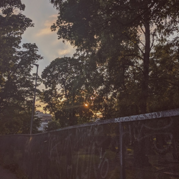 setting sun
