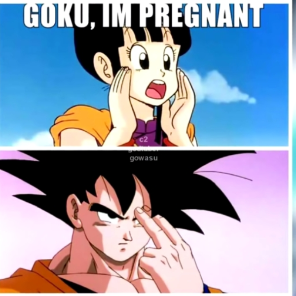 Kakarot has left the chat