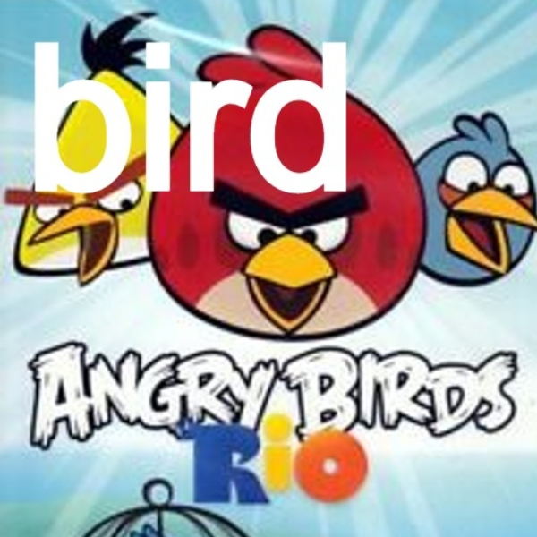 bird shit