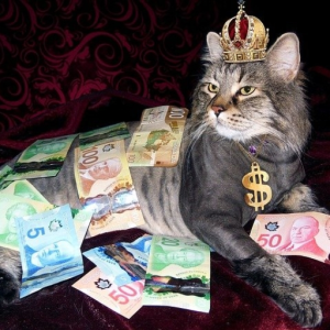 PaperCha$ing