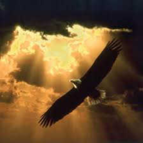 Eagle
