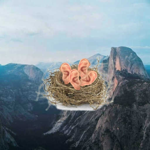 earnest (reyd. thingy)