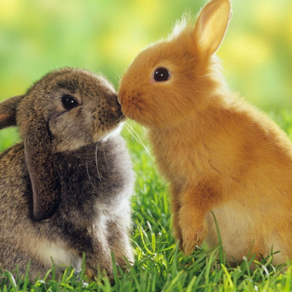 Easter