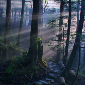 Echoes