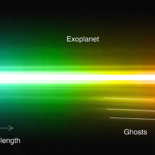EctoPlasmaticSpectrum