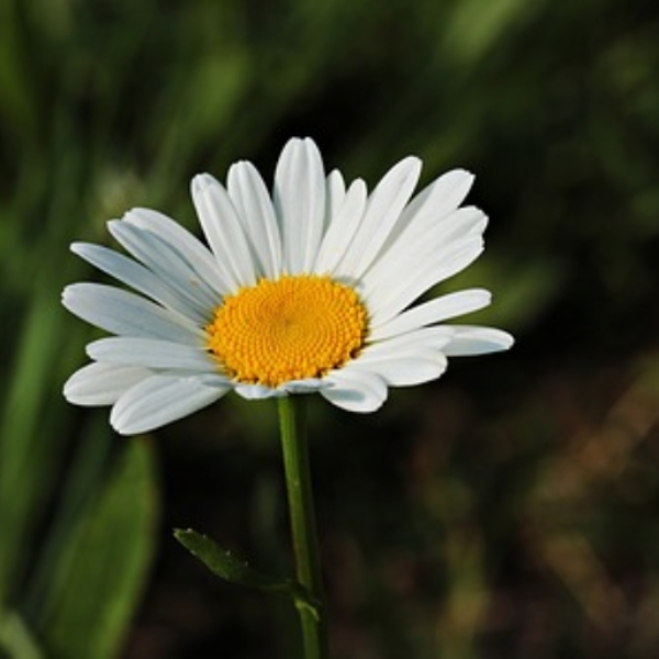 4       U