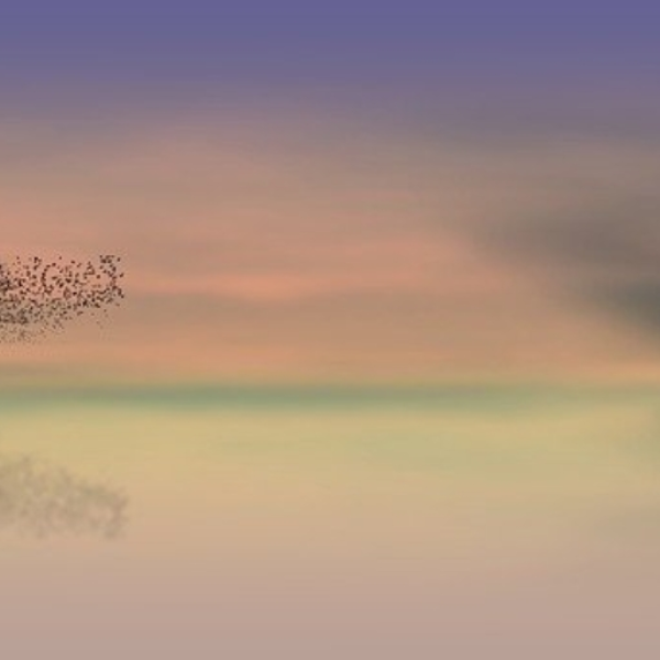 Calmly Relaxing