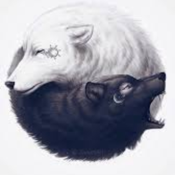 Yin & Yang