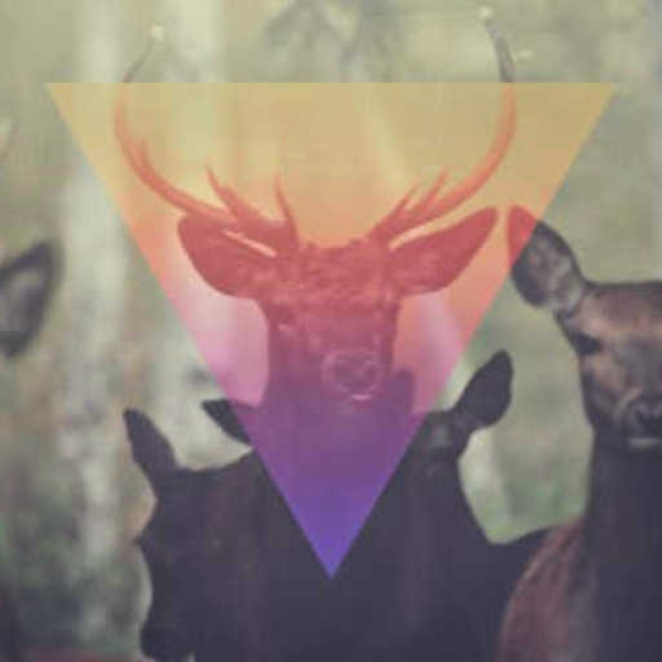 Elk (Armenix, Kryptic, Archon, Maestrex, WIZ, Kinkz, Blizreme, Coeur and Pylyoff Remix)