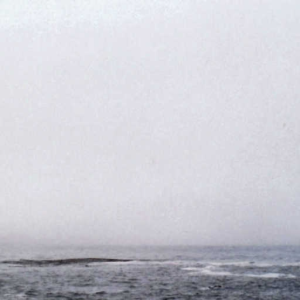 Into the Sea