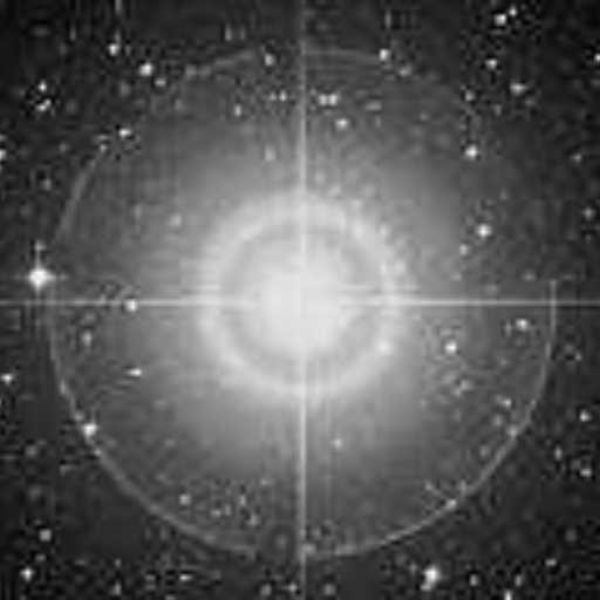 Epsilon Canis Majoris feat The Seahorse