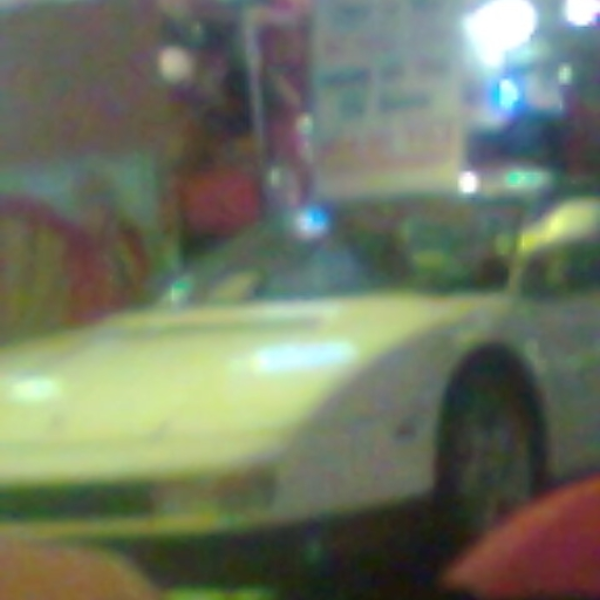 Old New Whip