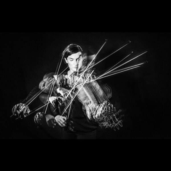 the orchestra