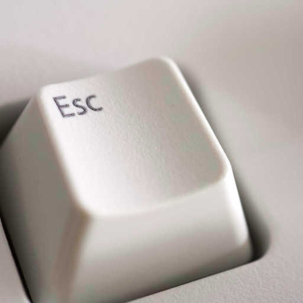 esc w/ kung pao