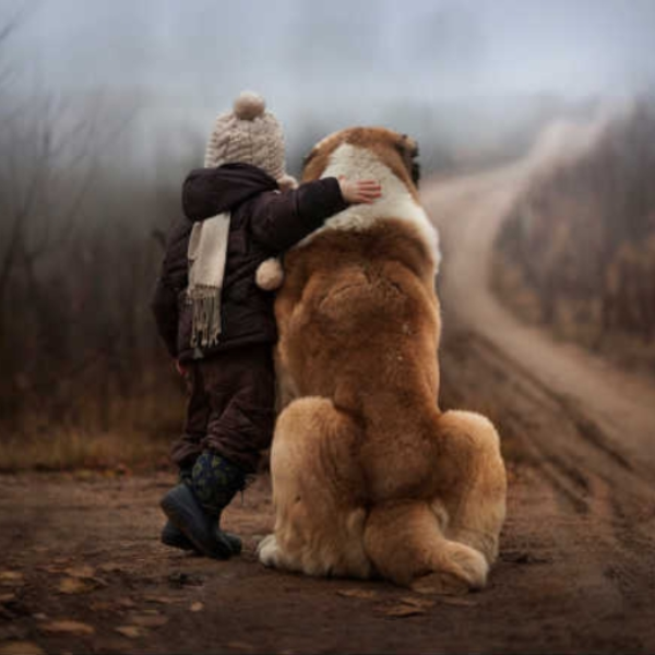 Everlasting Friendship