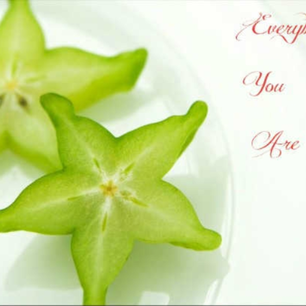 Everything You Are