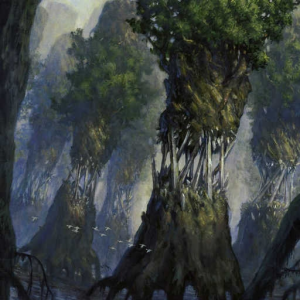 Evolving Winds