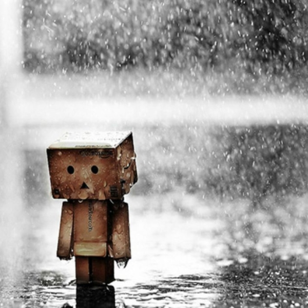 Rainy days