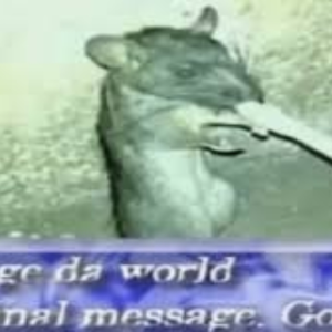 Change da world