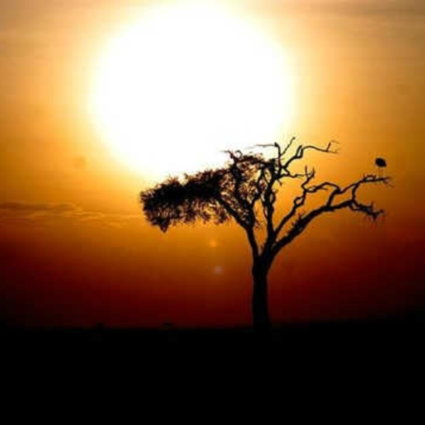 Faden & Mr  Tatave - Bamako Dream