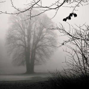Fading Away...