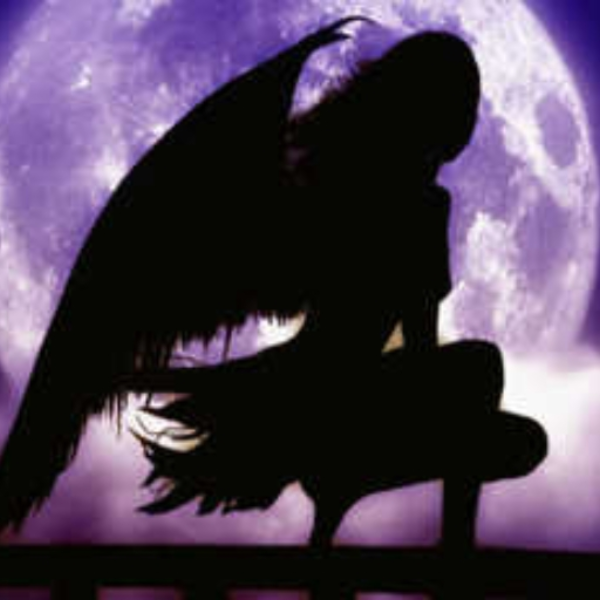 Fallen Angel