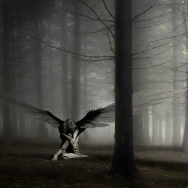 Fallen Angel