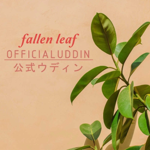 fallen leaf