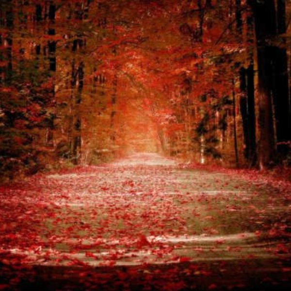 Falling Leafs