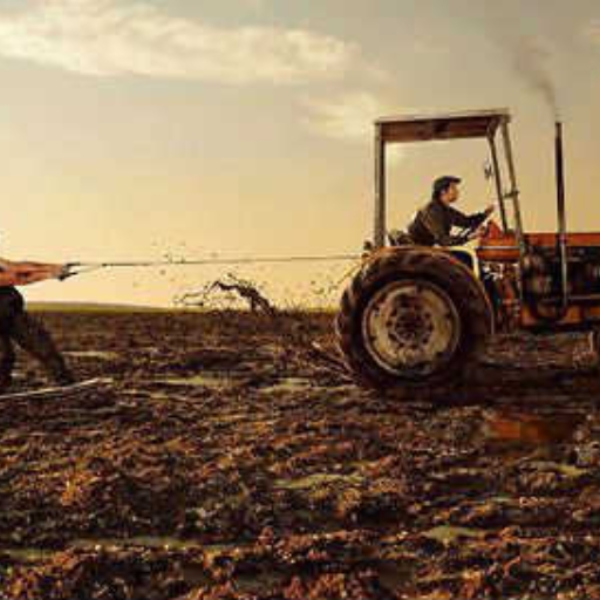 Farmer's revenge