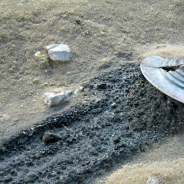 Alien crash