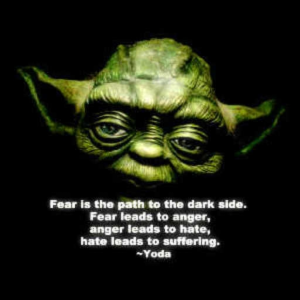 Fear is the path to the dark side...