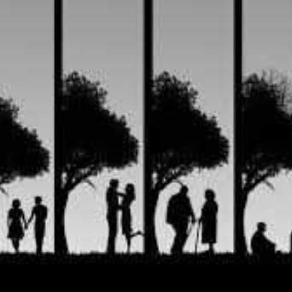 feel true love