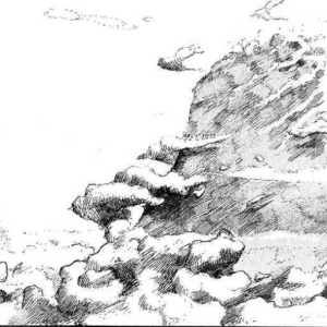 Felidae [iii]